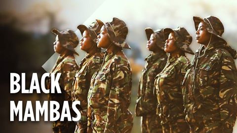 Afrique du Sud: des femmes luttent contre les braconniers