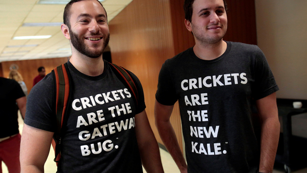 Eating insects