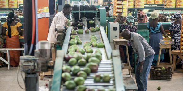 Dans les locaux de l'entreprise Safina, à Dakar, au Sénégal