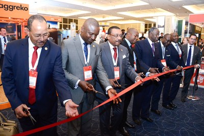 Africa Energy Forum