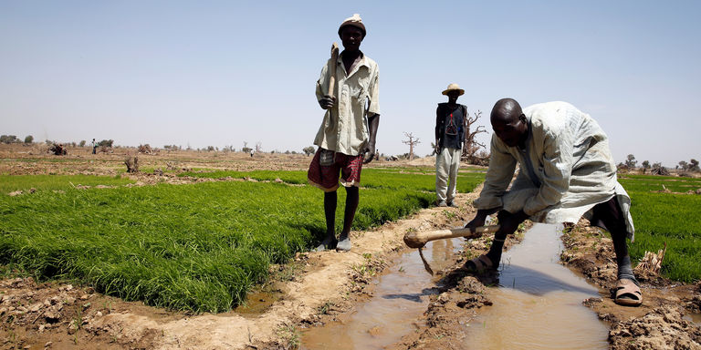 Agriculture