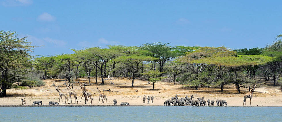 Tanzanie