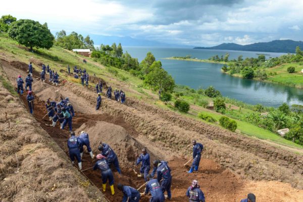 Kivu