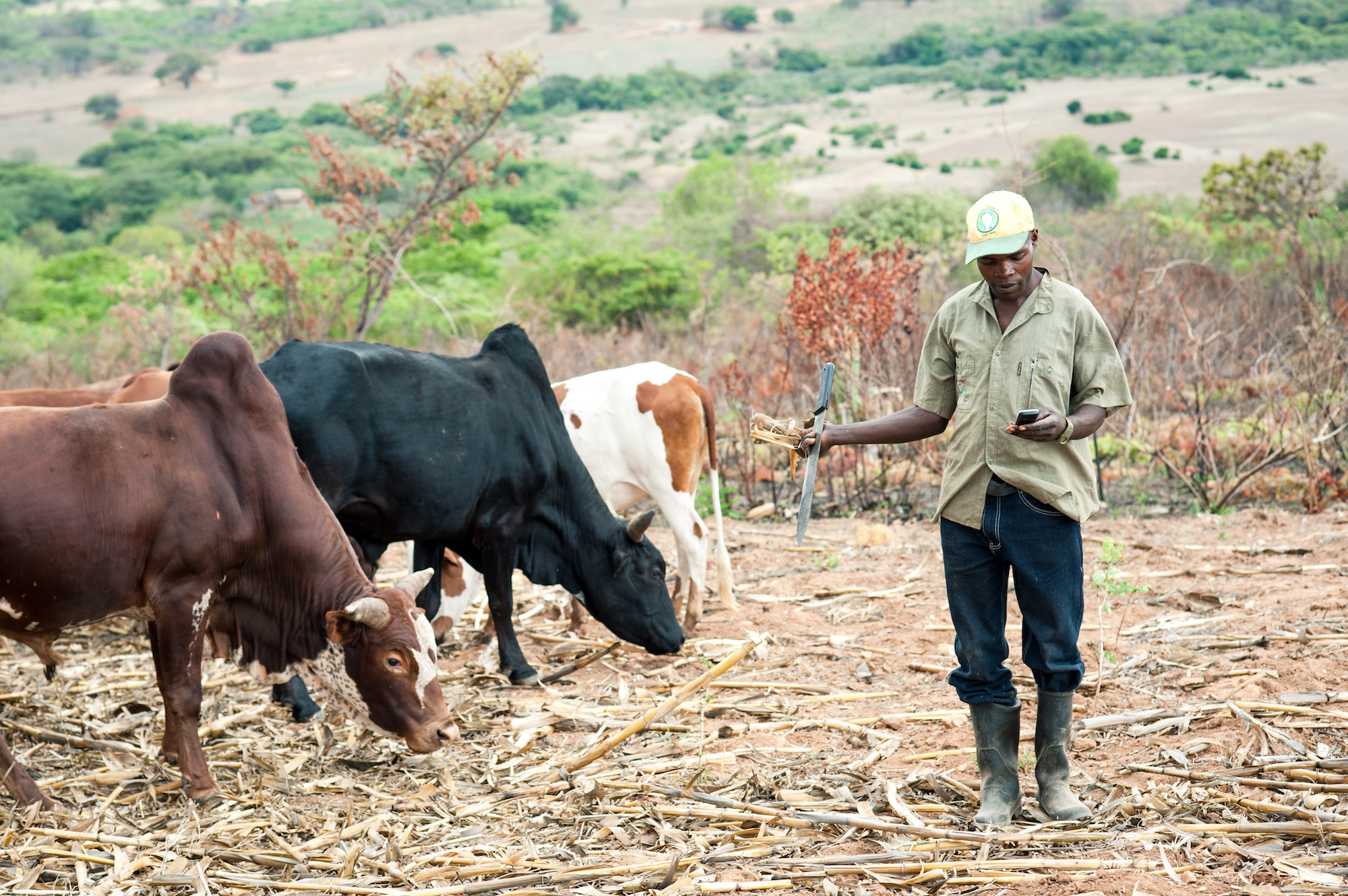 Agriculture