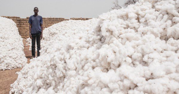 Coton
