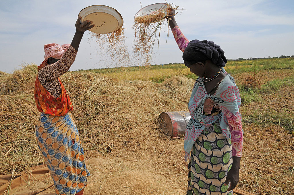 Mauritania FAO