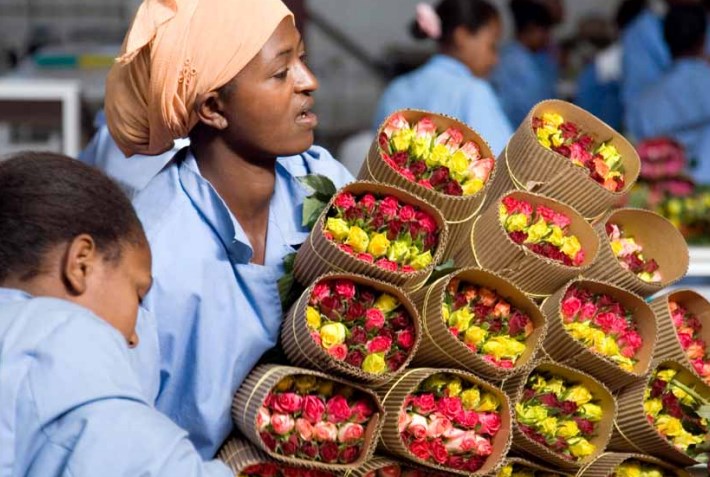 Produits horticoles
