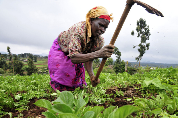 Secteur agropastoral
