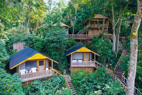 Bisate Eco Lodge