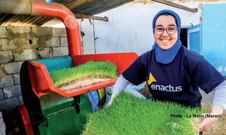 Hanane-Rifai